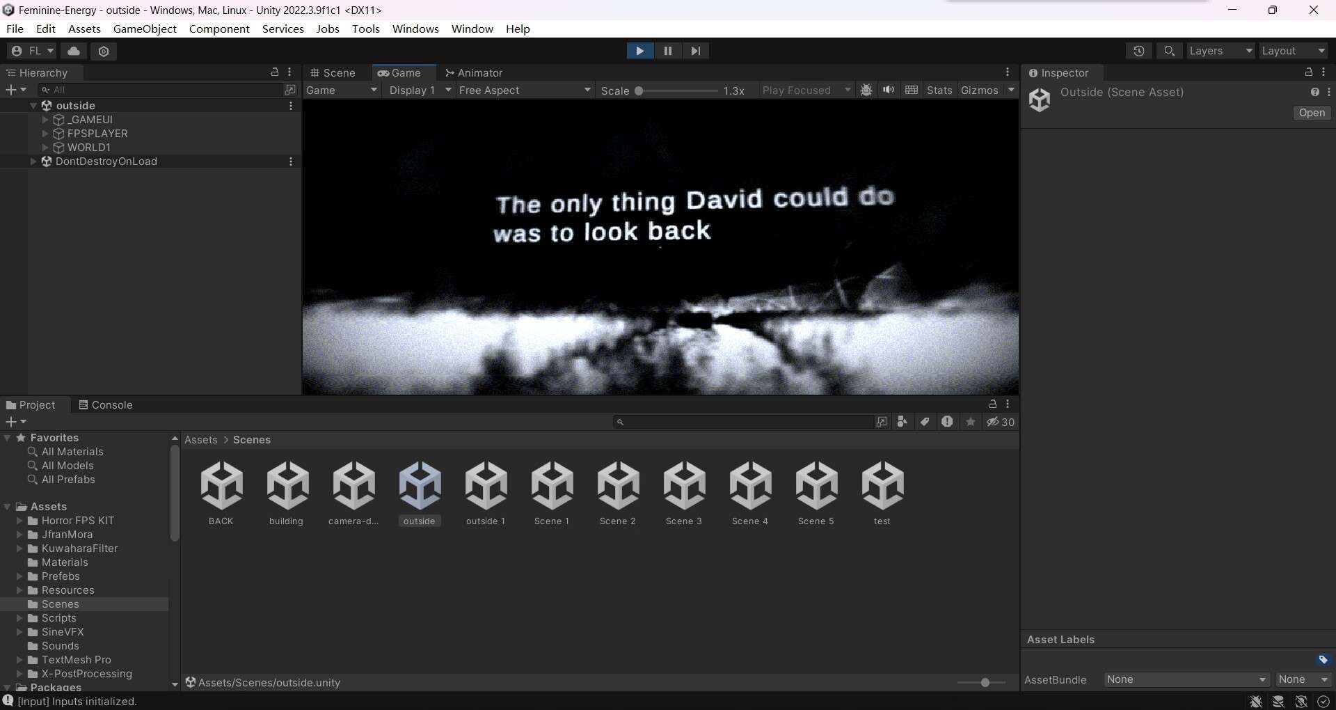 Feminine Energy (3D game)
